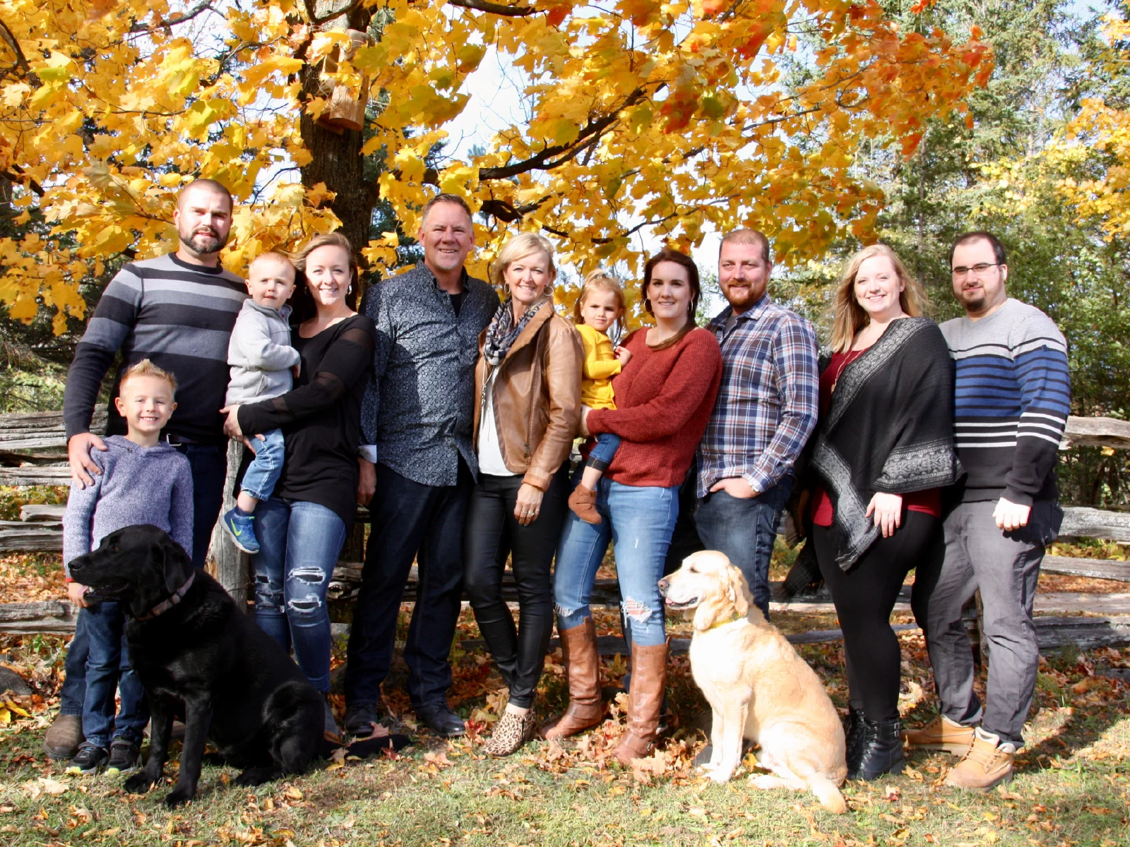 Lakeside Cottage Rentals in the Kawartha Lakes Region of Ontario